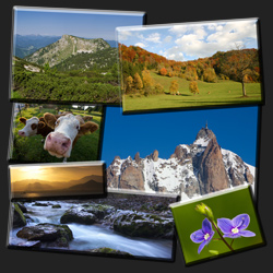 Nature Photography